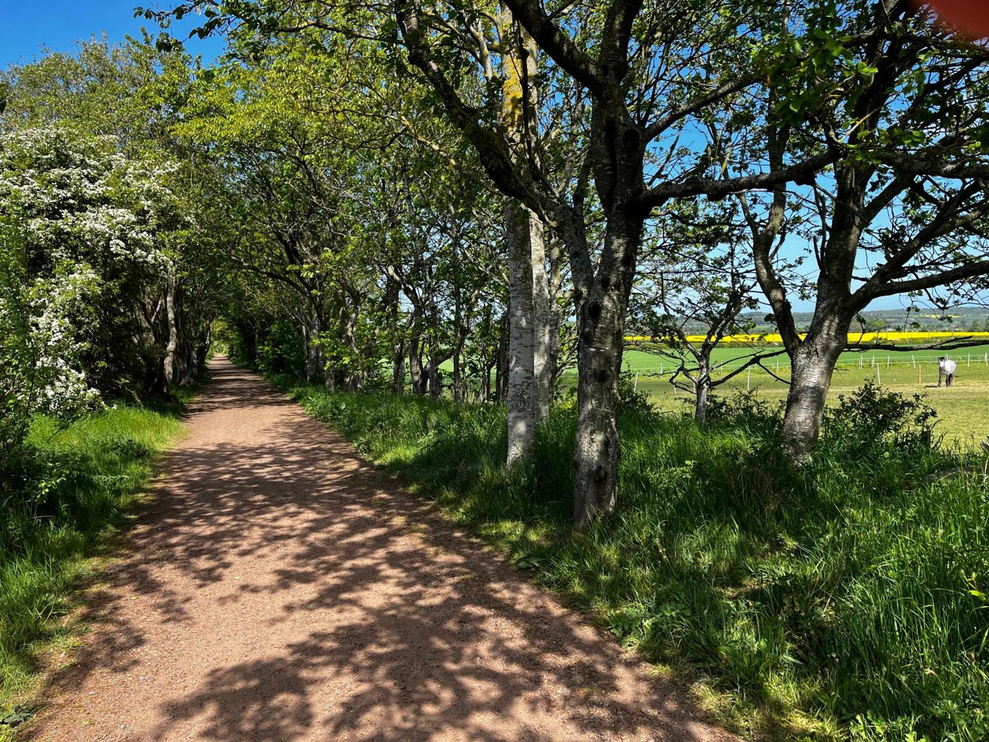 Islay House,Comfortable Home With Private Garden, Pencaitland, East Lothian, Scotland ภายนอก รูปภาพ